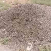 کود مرغی تمیز با کیفیت|خدمات باغبانی و درختکاری|تهران, مسعودیه|دیوار