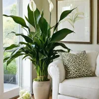 خدمات باغبانی گلکاری باغچه کاری درختکاری|خدمات باغبانی و درختکاری|شهریار, شهریار|دیوار