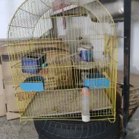 قفس پرنده|لوازم جانبی حیوانات|اندیشه, اندیشه فاز ۱|دیوار