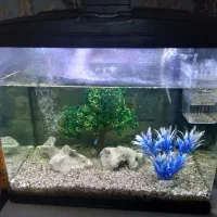 آکواریوم شرکتی ماهیران مدل MA25