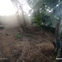 فروش زمین تجاری مسکونی در گیسوم|فروش زمین و ملک کلنگی|اسالم, |دیوار