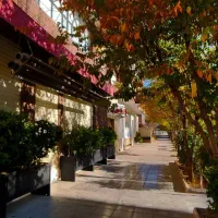 اجاره-مغازه-270-متر-خلدبرین-15-متر-عرض