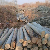 انواع چوب پالت مصرفی ضایعات