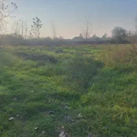 زمین متراژ ۵۰۰متر|فروش زمین و ملک کلنگی|رشت, معلولین|دیوار