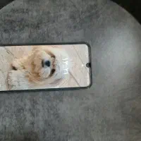 گوشی a15 درحد خوشک|موبایل|مشهد, علی آباد|دیوار