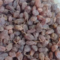 کشمش آبگیری