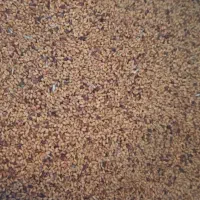 بذریونجه مغان درجه یک با تناژت بالا|خدمات باغبانی و درختکاری|قشلاق دشت, |دیوار