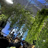 زمین فروشی فتح آباد