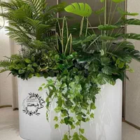نخل اریکا(اجرا کننده گیاه سبز مصنوعی) فلاورباکس|گل مصنوعی|تهران, بازار|دیوار