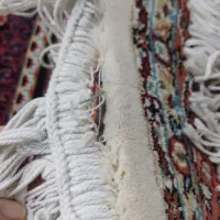 ریز ماهی گرد|پادری|کرج, عظیمیه|دیوار