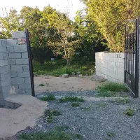 زمین-باغ-ویلایی-درخت-جوان-در-نزدیکی-بابا-کرم