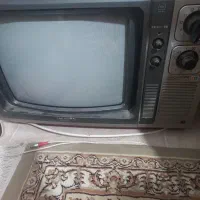 تلوزیون
