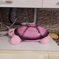 چراغ خواب شلمن