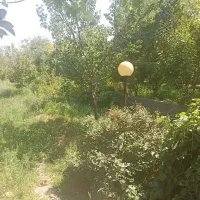 فروش باغ در فیرورق نزدیک جاده|فروش زمین و ملک کلنگی|فیرورق, |دیوار