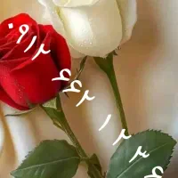 خط ۹۱۲ کد ۶                            ۰۹۱۲۶۶۲۱۲۳۶|سیم‌کارت|بروجرد, |دیوار