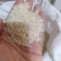 برنج ایرانی