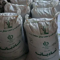 فروش گندم