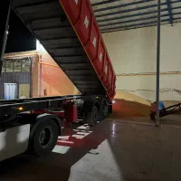 ذرت سویا مرغ و دام