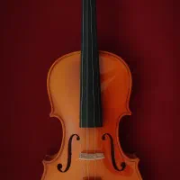 ویولن خوش رنگ TF student mode 4/4