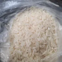 برنج طارم کشت دوم