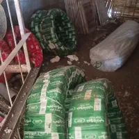 نیازمند شاگرد لوله کشی