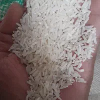 برنج ایرانی.شیرودی محصول تالش|خوردنی و آشامیدنی|گوراب زرمیخ, |دیوار