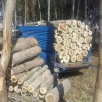 خرید انواع چوب و بریدن درخت