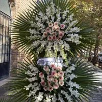 تاج گل و دور مزار