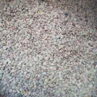 کندی