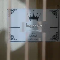 گیتار|گیتار، بیس، امپلیفایر|ایلام, |دیوار