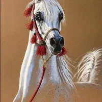 نریان عرب دوسر وارداتی
