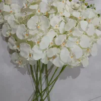 گلهای ارکیده ۸شاخه|گل مصنوعی|مشهد, طلاب|دیوار
