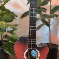 Diamond guitar