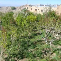 فروش باغچه|فروش زمین و ملک کلنگی|پلنگ آباد, |دیوار