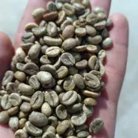 باریستا و کارگر ساده جهت کافه بیرون بر