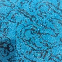 دو عدد کارت ملی گمشده