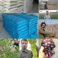 ((فروش کود)) فیلم آگهی رو کامل ببینید