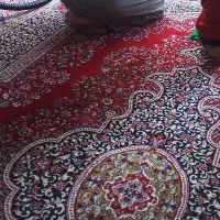 فرش۱۲متری جفت