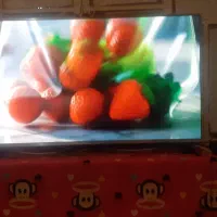 ال.ای.دی49الجی