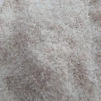 برنج هاشمی|خوردنی و آشامیدنی|قزوین, |دیوار