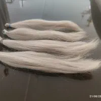 موی طبیعی...|آرایشگاه و سالنهای زیبایی|رشت, گلباغ نماز|دیوار