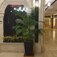 اجاره واحد|اجارهٔ آپارتمان|بوکان, |دیوار