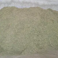 کاه یونجه و علف