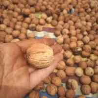 فروش گردو