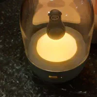 چراغ خواب کودک|چراغ خواب و آباژور|کوهدشت, |دیوار