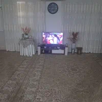 تلویزیون ۵۵اینچ اسنوا