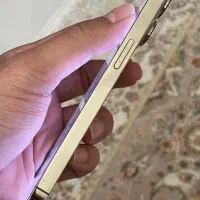 13pro 256|موبایل|تهران, سعادت‌آباد|دیوار