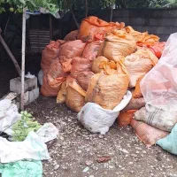 چرم گاو اسباب بازی