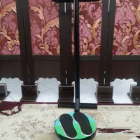 چرخ ورزشی مسگری