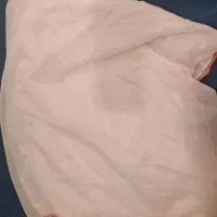 پشه بند|اسباب و اثاث بچه|مرودشت, ژیان|دیوار